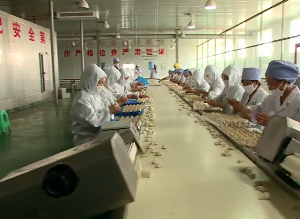 金積工業(yè)園區(qū)打造人才高地助推清真產(chǎn)業(yè)發(fā)展